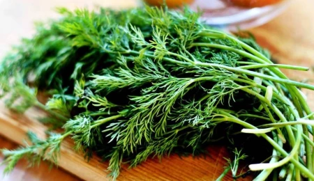 İthal dereotunda limit üstü bitki koruma ürünü bulundu