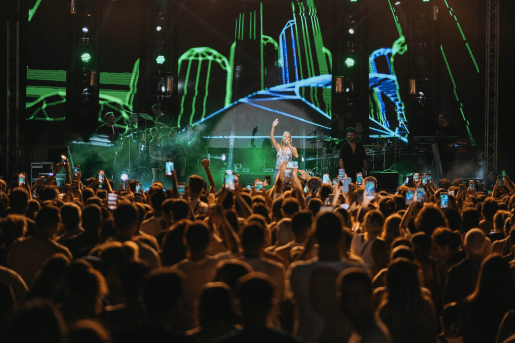 Mehmetçik Üzüm Festivali sona erdi