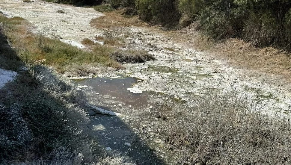 Feriha Tel’den İskele Belediyesi’ne tepki: Çevre Koruma Dairesi’ni göreve davet ediyoruz!