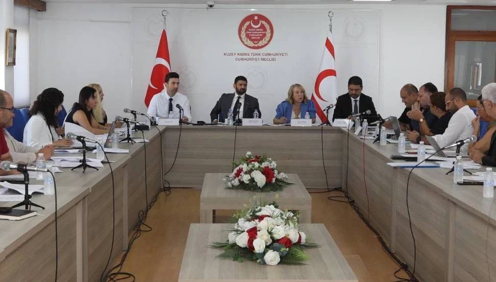 Sağlık Hizmetleri Dairesi, İlaç ve Eczacılık ile 112 Acil yasaları Komitede görüşüldü