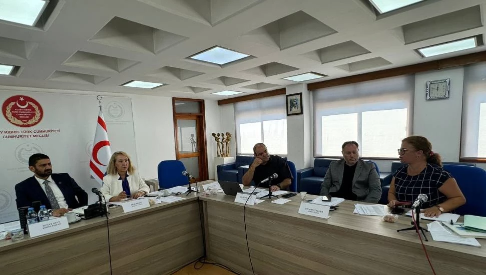 İdari Komite, Sağlık Hizmetleri Dairesi Yasa Tasarısı’nı görüştü