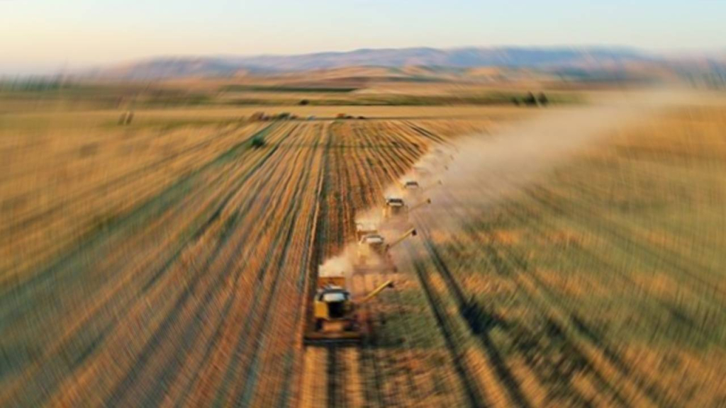 Ziraat Mühendisleri Odası: Tarımsal üretim SOS veriyor