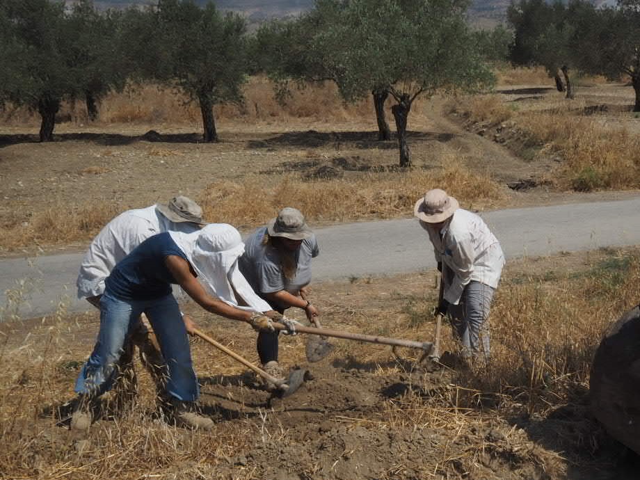 Almanya hükümetinden Kayıp Şahıslar Komitesi’ne 160 bin euro bağış