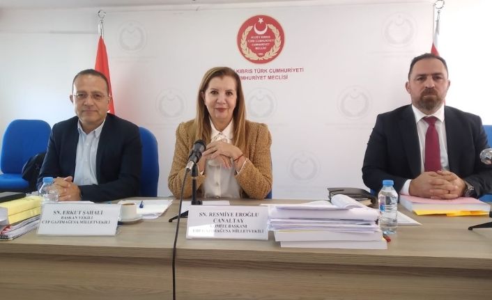 Tarım Bakanı Çavuş: Mavi dil hastalığının yayılması durdu