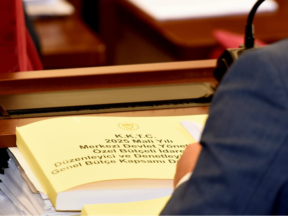 Komitede Cumhurbaşkanlığı bütçesi görüşülmeye başlandı