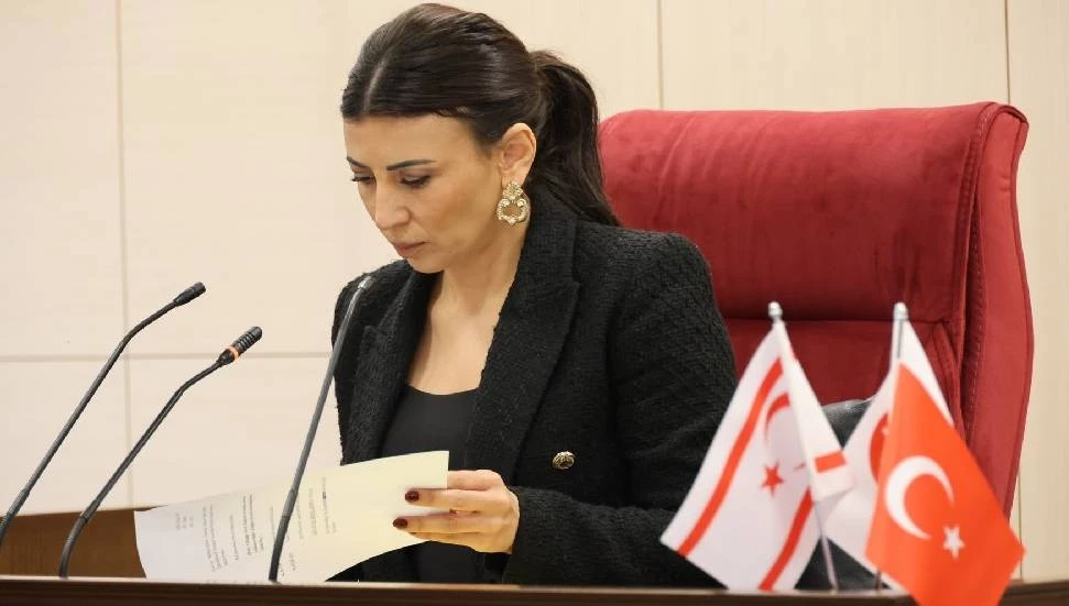 Meclis Başkan Yardımcılığı’na Fazilet Özdenefe seçildi