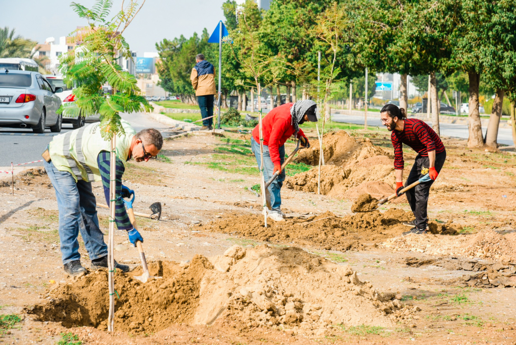 Lefkoşa’da Dünya Toprak Günü’nde ağaç dikildi.