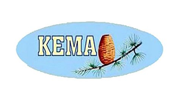 KEMA: Kızılçam ormanlarında kabuk böceğinin istilası sonucu çam ağaçlarında kitle ölümleri yaşanmaya başladı