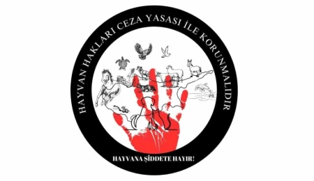 Altın Patiler Derneği’nden çağrı: Ülkedeki şiddeti görünür kılın ve yasaya olan desteğinizi gösterin!