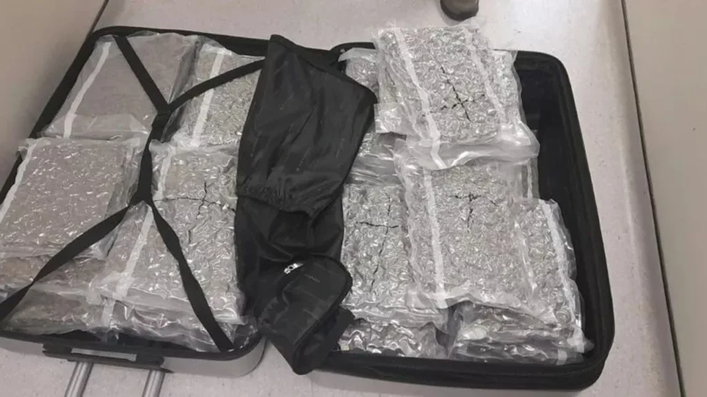 Larnaka Havalimanı’nda 22 Kilo Hintkeneviri Ele Geçirildi