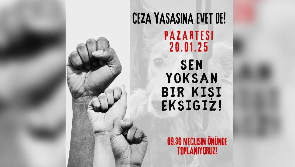 Altın Patiler Derneği, Pazartesi günü Meclis’in önünde toplanacak