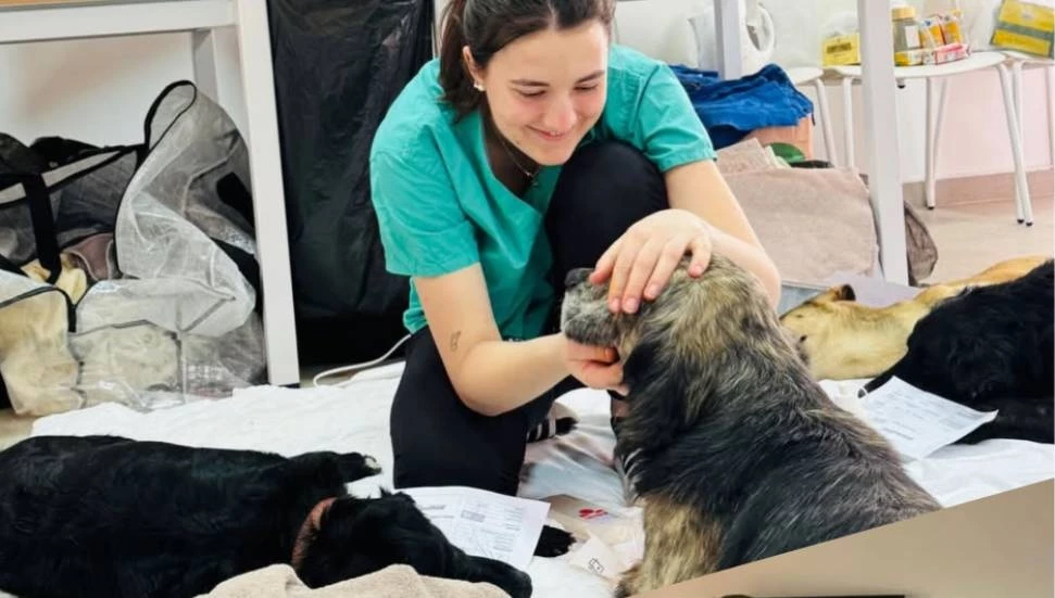 Güzelyurt’ta 150’nin üzerinde kedi ve köpek kısırlaştırıldı!