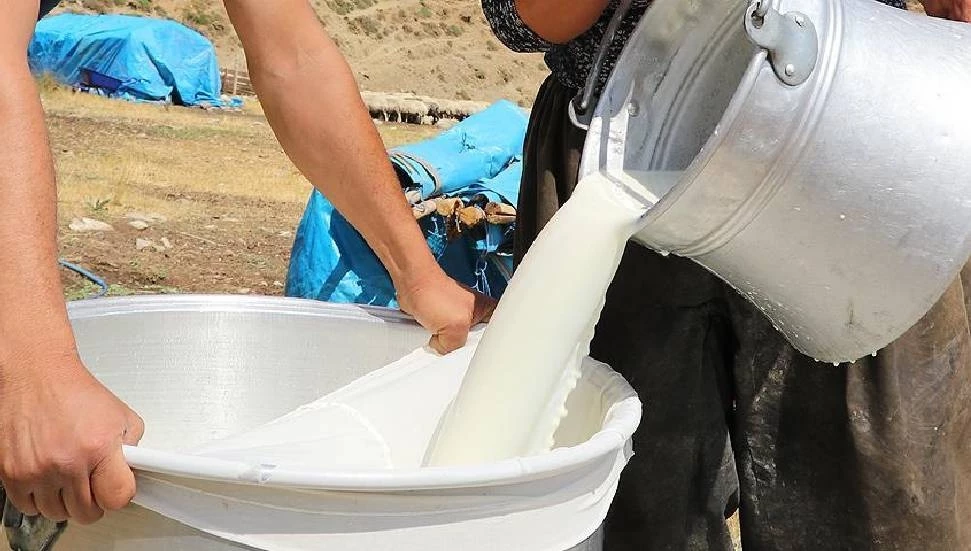 Çiğ süte yüzde 10,5 oranında zam!