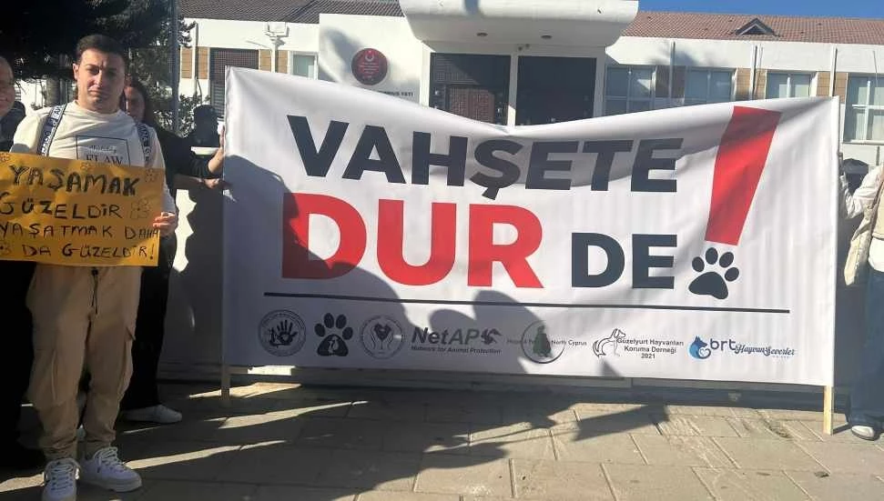 Hayvanlar mal değil, candır! Adalet hepimiz içindir!