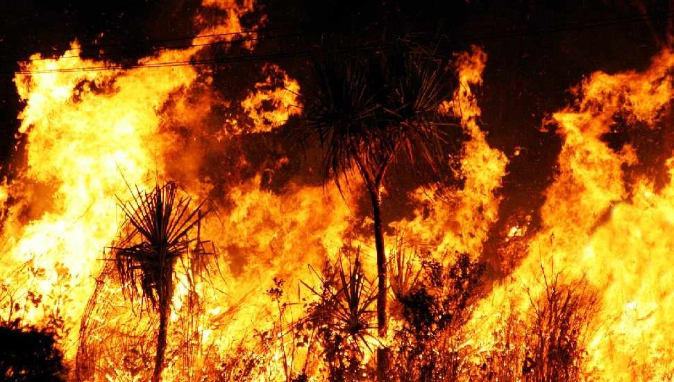 Yangın güvenliği her alanda hayati bir gereklilik