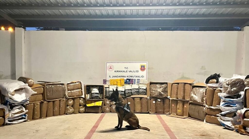 Türkiye’de 1 ton kaçak tütünle bin pakete yakın sigara ele geçirildi!
