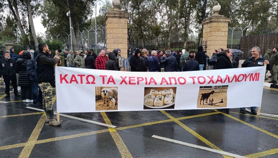 Küçükbaş hayvancılar, Rum Başkanlık Sarayı önünde protesto gerçekleştirdi