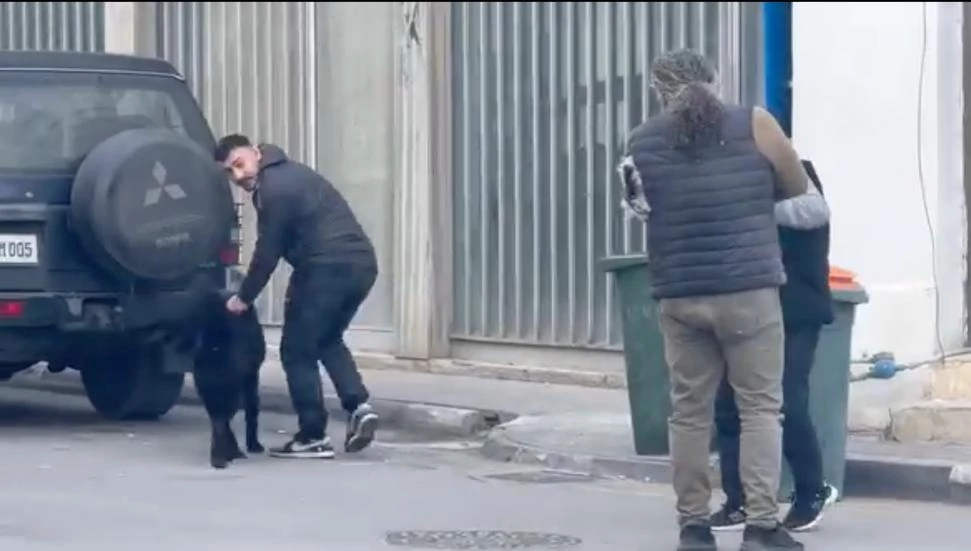 Güzelyurt’ta sokağa bırakılan köpek esnafa saldırdı!