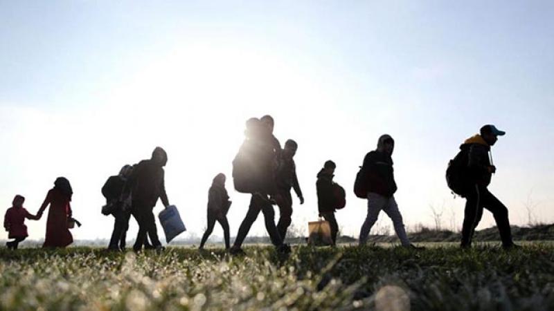 Kaçak göçmen operasyonunda 51 kişi tutuklandı