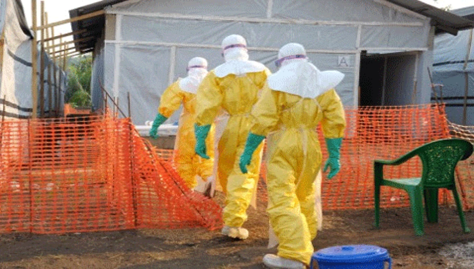 Ebola tedavisinde büyük atılım