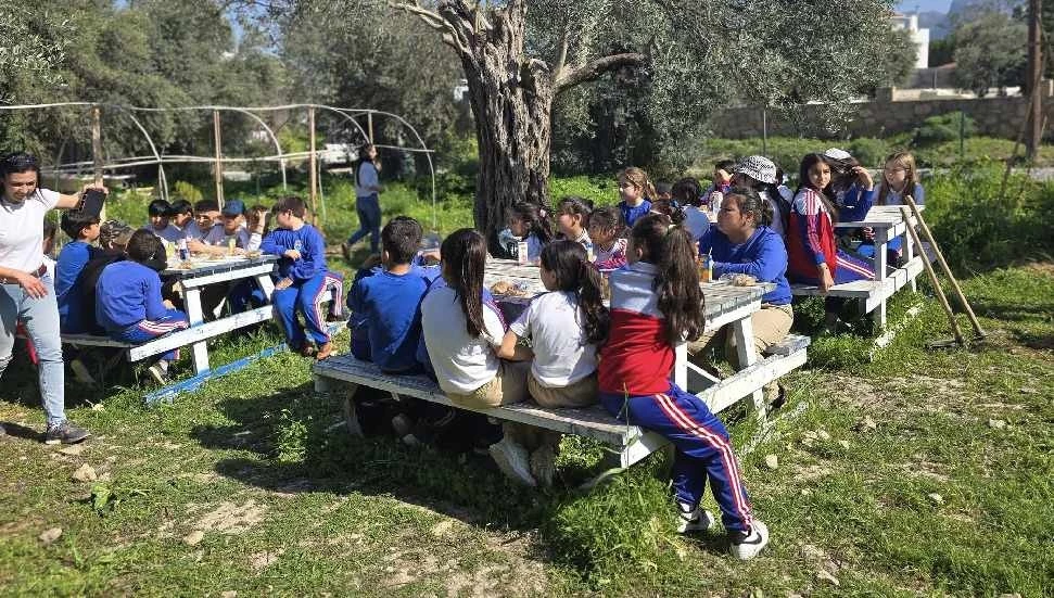 Girne Gençlik Meclisi İnisiyatifi’nin tohum ekimi ve sebze yetiştirme çalışmaları devam ediyor