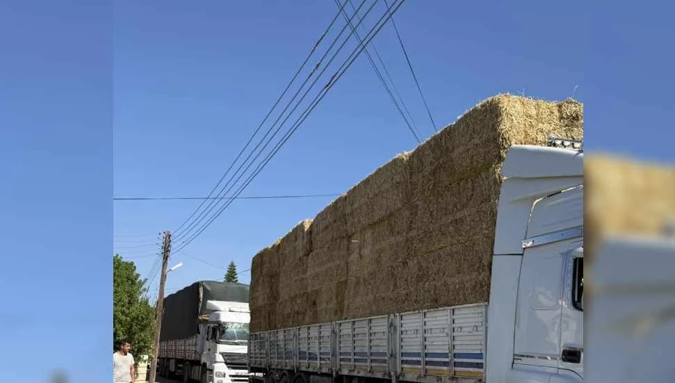 “Ağır ve yüksek vasıtalar köy yollarında tehlike saçıyor”