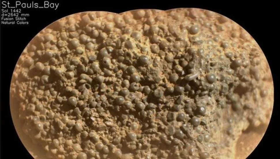 Mars’ta garip keşif: Örümcek yumurtaları bulundu