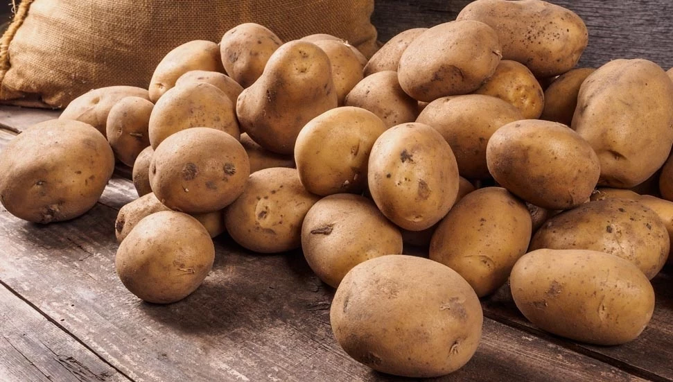 TÜK patates alım fiyatını 30 TL olarak belirledi