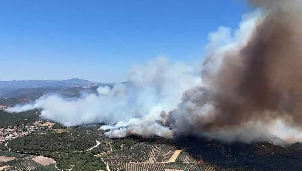 Türkiye’nin ciğerleri yanıyor: İşte yangınlarda son durum
