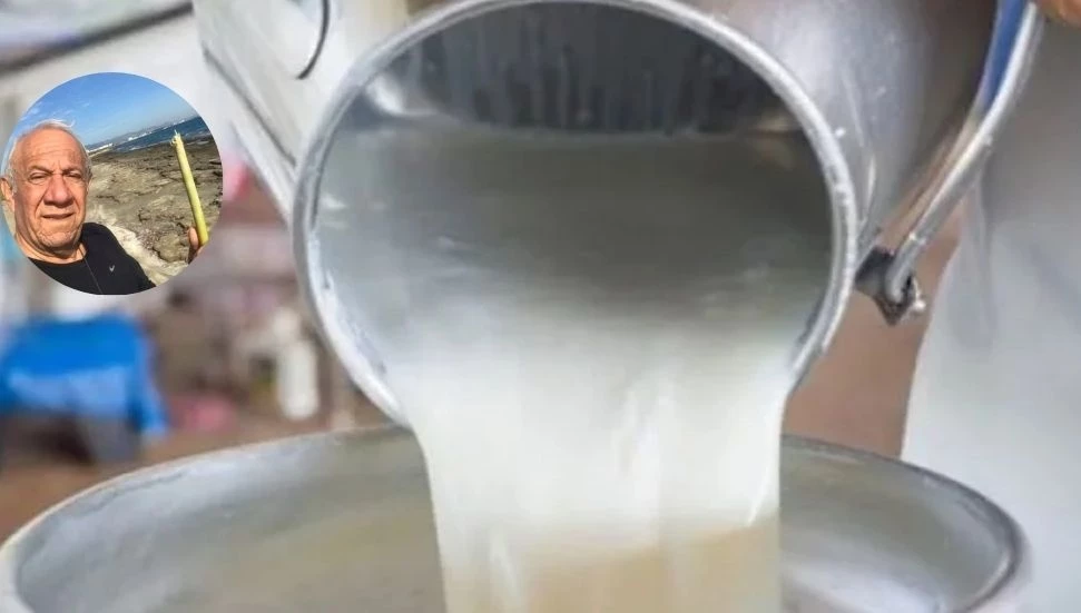 SÜTEK Yönetim Kurulu Başkanı Özdeğirmenci: 2024’ü 16 Milyon Zararla Kapattık