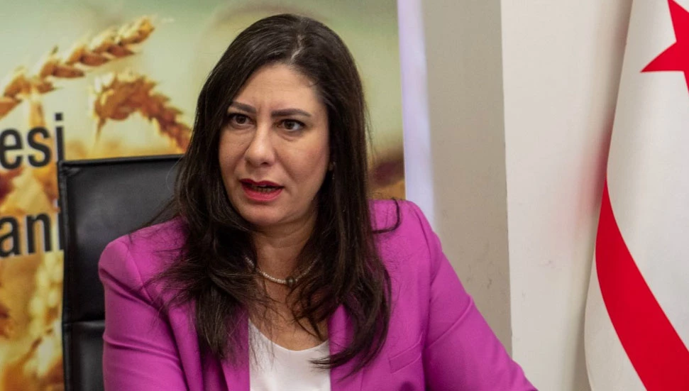 Sıla Usar İncirli: Tatar, ortak mücadeleyi propagandasına malzeme yapmaya kalkıştı