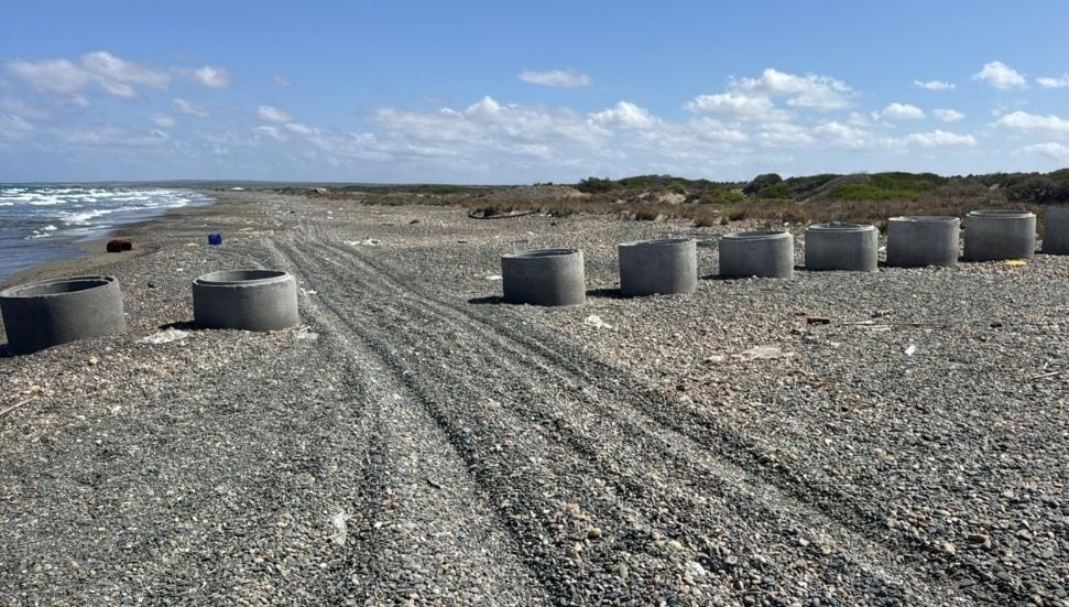 Deniz kaplumbağalarının yaşam alanları tehlikede: LAÇ Belediyesi ve Spot’tan ortak uyarı