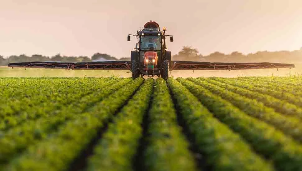 Tarım Dairesi: Son 5 yılda yerli ürünlerde yüzde 5,27, ithal ürünlerde yüzde 6,53 kirlilik tespit edildi