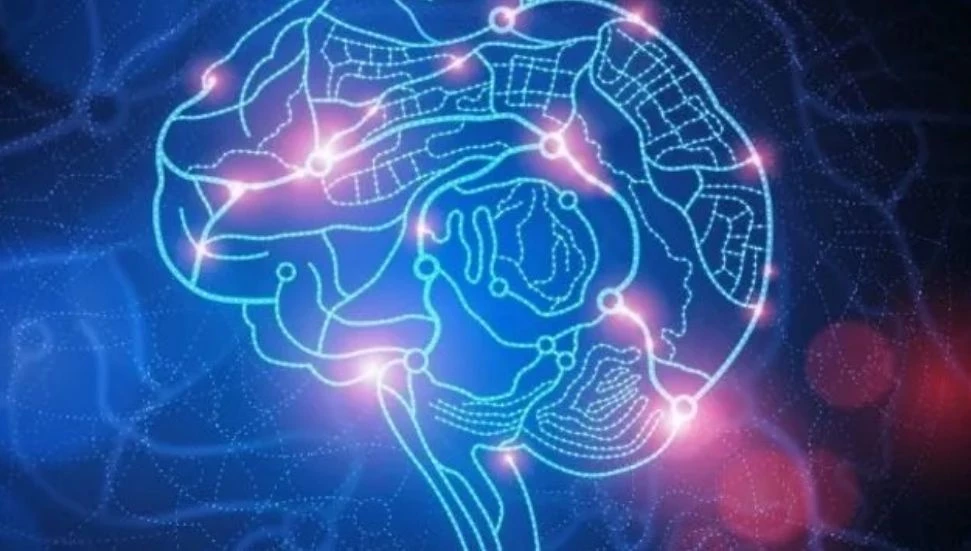 Veterinerler: Bir Kıbrıslı Türk’te deli dana tespit edildi! Koruyucu önlemler ivedilikle ele alınmalı