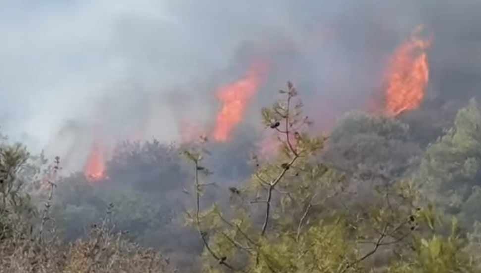 Girne’deki orman yangını korkuttu: Havadan ve karadan müdahale edildi!