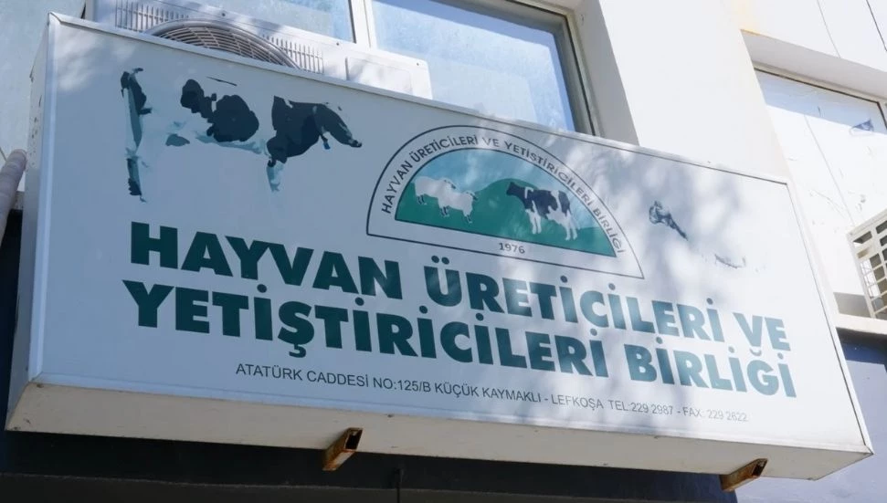 Hayvancılık Üreticilerinden Çavuş’a “hamaset siyaseti” tepkisi: Ya çözüm ya da mücadele!