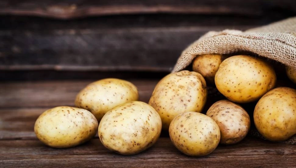 Genel Tarım Fonu: Ekilen patates arazileri 15 Ekim’e kadar beyan edilmeli