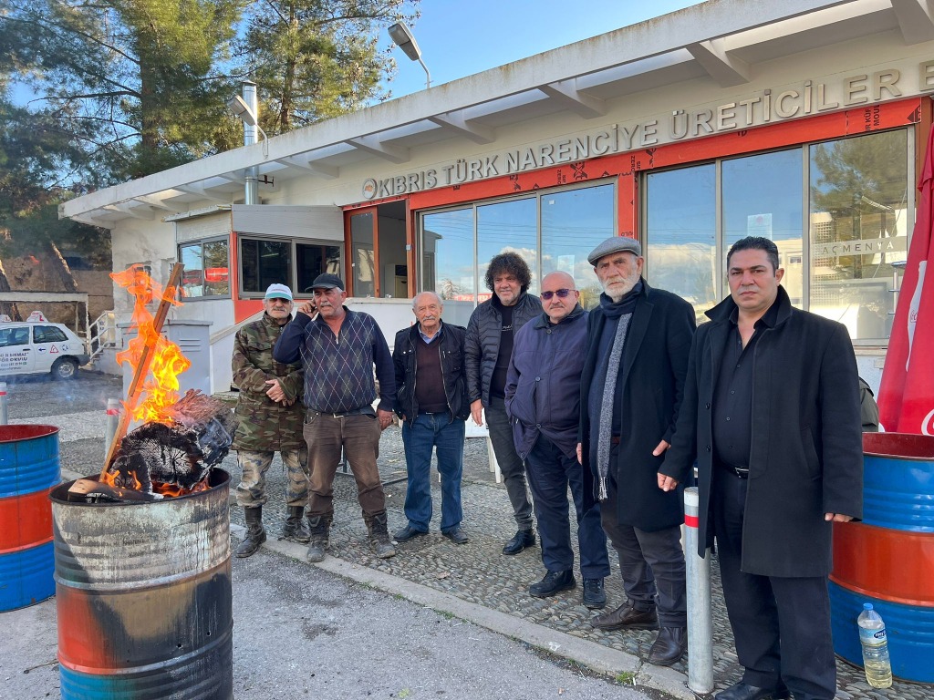 Narenciye üreticilerinden Cypfruvex Yönetim Kurulu’na tepki