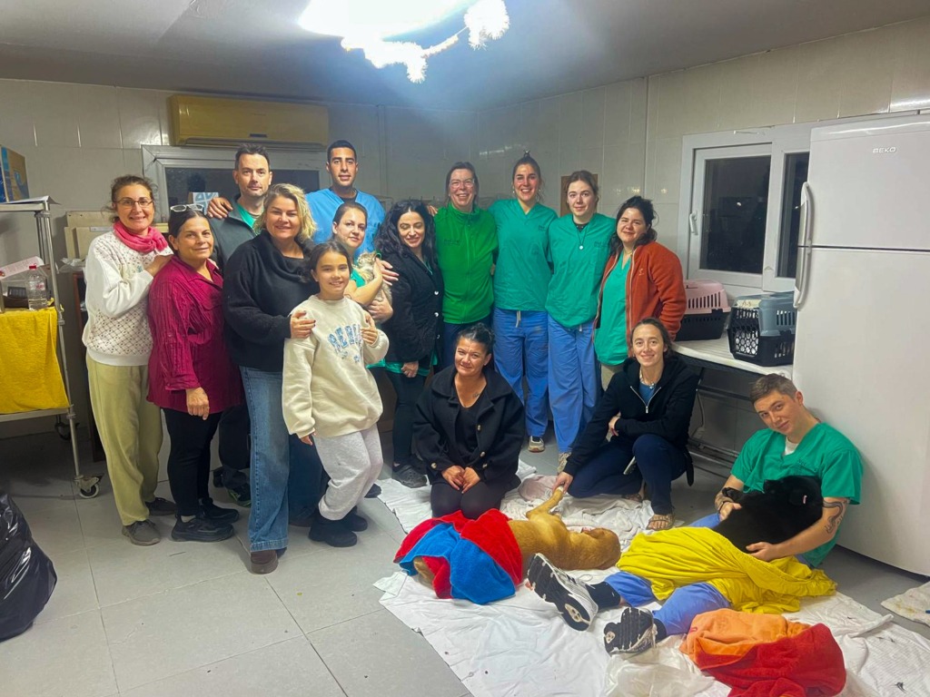 Gazimağusa Belediyesi’nden sokak hayvanları için kısırlaştırma kampanyası