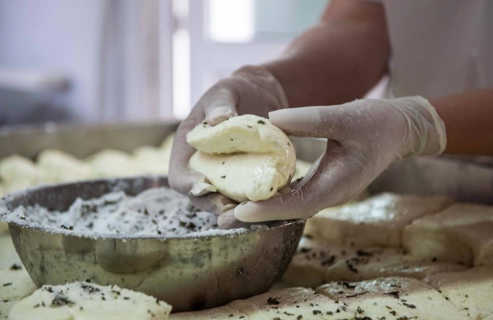 Hellim “Mercosur” anlaşmasının dışında kaldı