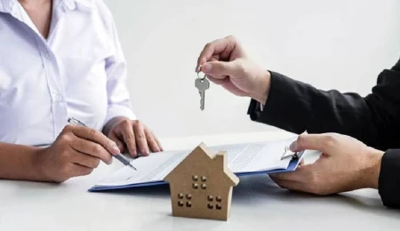 Lefkara’daki Kıbrıs Türk mallarında usulsüzlük tespit edildi