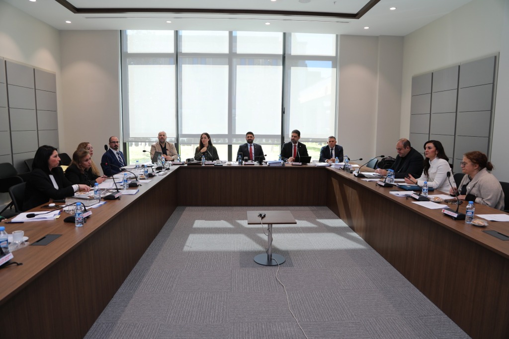 İdari, Kamu ve Sağlık İşleri Komitesi, gündemindeki yasa önerilerini görüştü