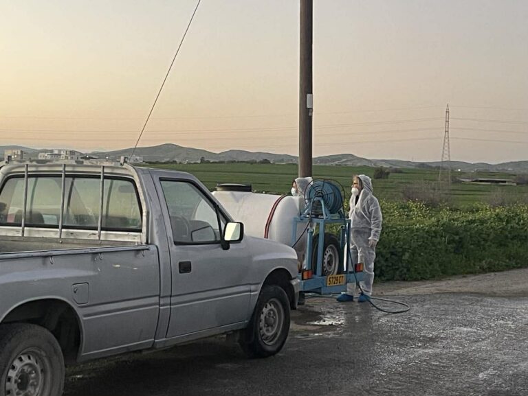 Larnaka’da 11 çiftlikte şap hastalığı tespit edildi