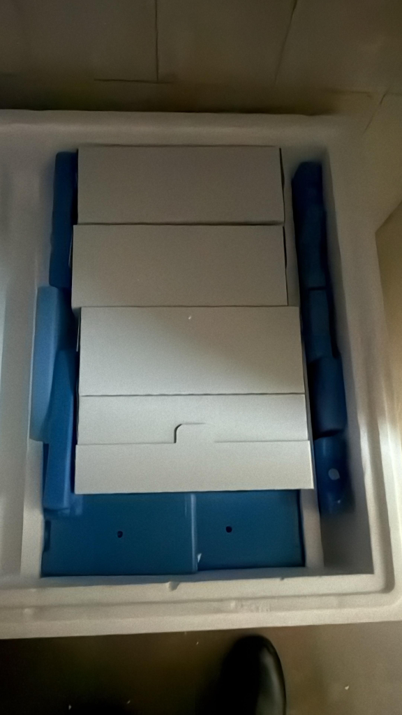 Güney Kıbrıs’a 50 bin doz şap aşısı daha… Toplamda 60 bin doz teslim edildi