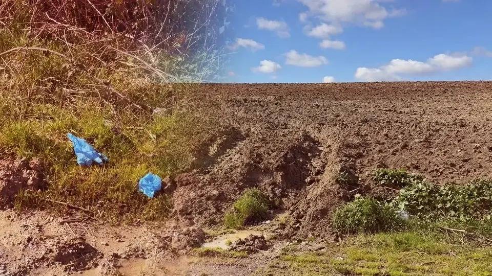 Kayıp Çinli iş insanı toprağa gömülü bulundu