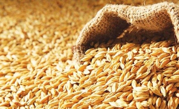 4 bin 500 ton arpanın yarın sabah Gazimağusa Limanı’na ulaşması bekleniyor