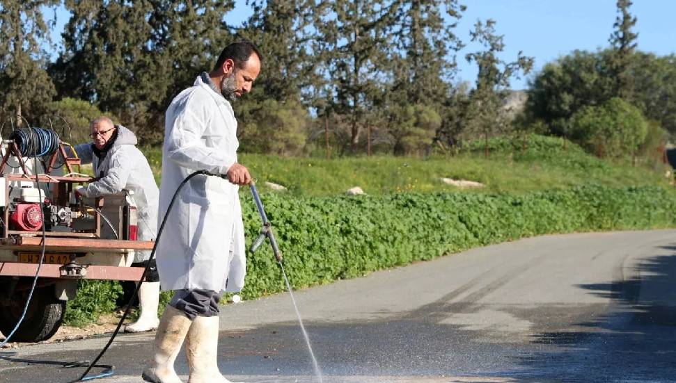 Güney Kıbrıs’ta şap hastalığı yayılıyor: 7 çiftlikte daha hastalık tespit edildi