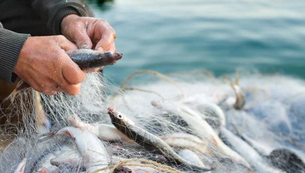 Balıkçılık av malzemesi destek başvuruları 4 Mayıs’ta başlıyor