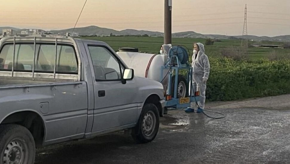 Güney Kıbrıs’ta şap vakası görülen çiftlik sayısı 101’e ulaştı