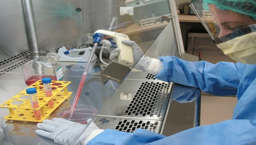 Afrika ülkelerinden Brezilya’ya dönen iki kişi Ebola şüphesiyle karantinaya alındı